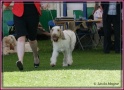 26-05-12 M GoodAsGold_IMG_4710